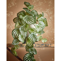 Plante artificielle Peperomia vert-blanc