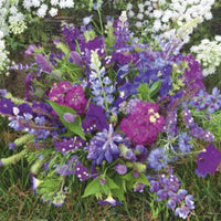 Fleurs d'été - Mélange bleu 1 m² - Semences de fleurs