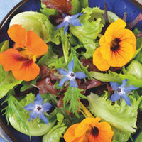 Fleurs comestibles - Mélange 2 m² - Semences de fleurs