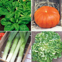 Pack de légumes d'automne 'Automne Appétissant' - Biologique - Semences de légumes