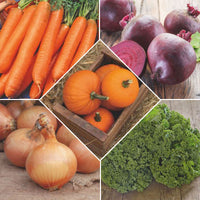 Pack de légumes d'hiver 'Hiver Harmonieux' - Semences de légumes
