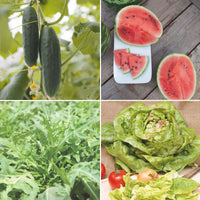 Pack d'été 'Été Étincelant' - Biologique Graines de légumes, graines aromatiques, graines de fruits