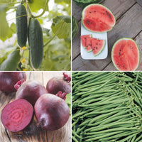 Pack de jardinage 'Potager Pratique' - Biologique Graines de légumes, graines de fruits