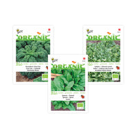 Pack smoothie végétal 'Vert Vibrant' - Biologique - Semences de légumes