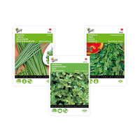 Pack d'herbes aromatiques 'Épices Énergiques' - Semences d’herbes