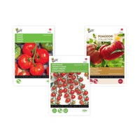 Pack de tomates 'Tomates Tentantes' Solanum - Semences de légumes