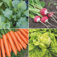 Pack de jardinage pour débutants 'Potager Pratique' - Biologique - Semences de légumes