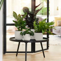 Elho pot de fleurs Vibes Fold rond blanc - Pot pour l'intérieur