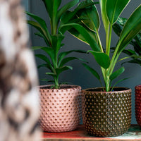 TS pot de fleurs Bolino rond rose pâle - Pot pour l'intérieur