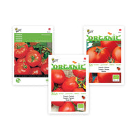 Paquet de tomates Solanum 'Tomates écarlates' 30 m² - Semences de légumes