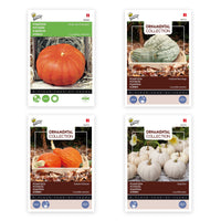 Paquet de courges 'Potirons champions' 21 m² - Semences de légumes