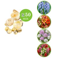 300x Pack de bulbes de fleurs 'Tulipes et autres'