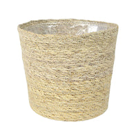 Plante de l'ombre Calathea 'White Star' avec panier en osier naturel