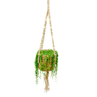 Collier de perles Senecio rowleyanus avec panier en crin végétal et suspension macramé