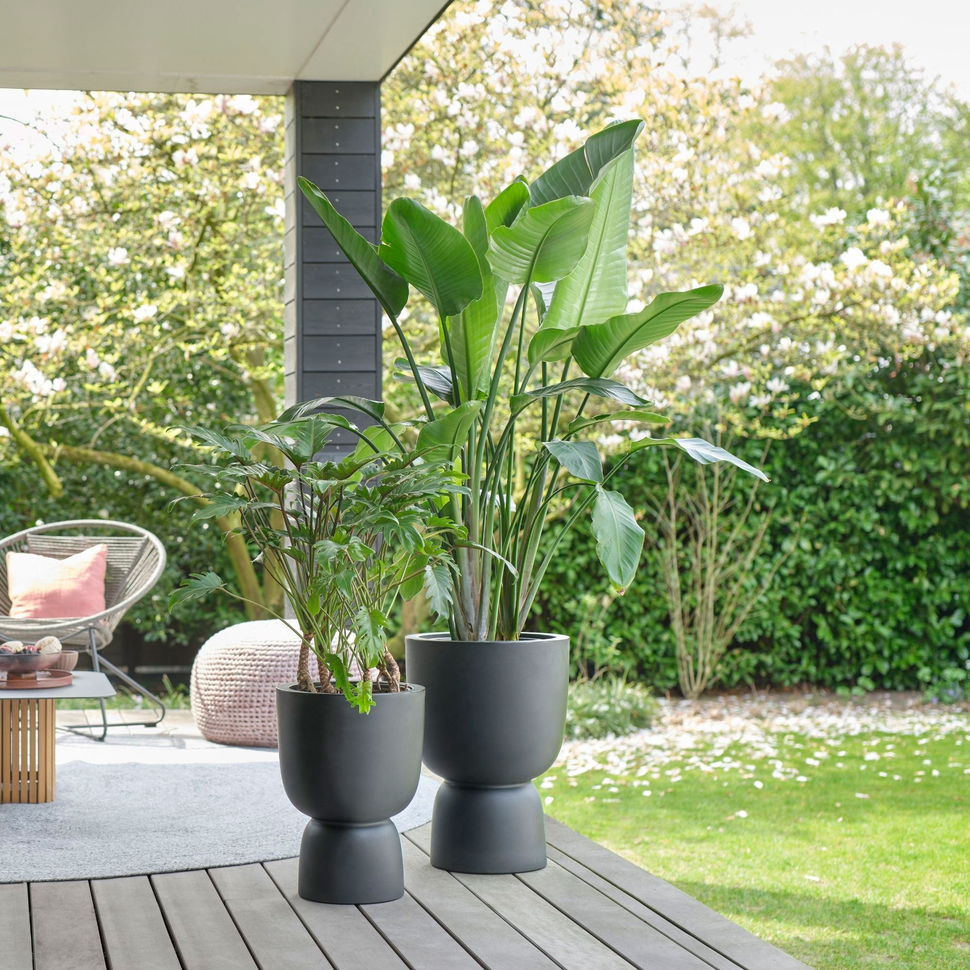Elho Pure Coupe - Pot pour l'intérieur et l'extérieur Noir acheter ...