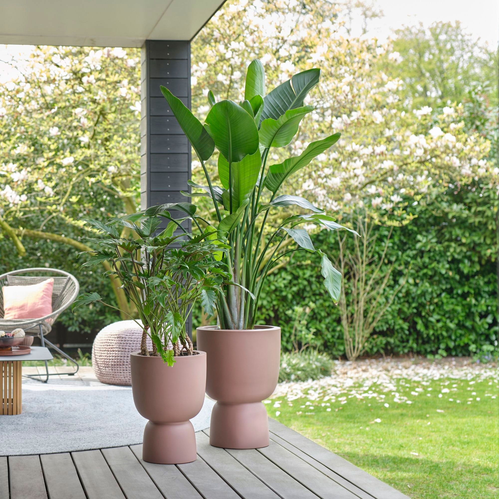 Elho Pure Coupe - Pot pour l'intérieur et l'extérieur Rose-Marron ...