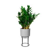 Elho B. for Studio Round - Pot pour l'intérieur avec table à plantes Gris