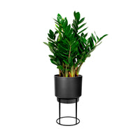 Elho B. for Studio Round- Pot pour l'intérieur avec table à plantes Noir