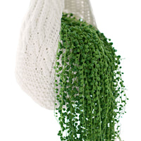 Collier de perles Senecio Rowleyanus + Aeschynanthus 'Japhrolepis' avec 2x Pot suspendu en crin végétal  - Plante suspendue