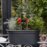 Elho jardinière Green basics flower bridge ovale noir - Pot pour l'extérieur