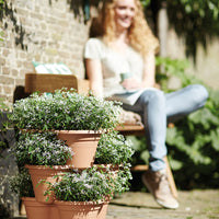 Elho pot de fleurs Green basics jardinage vertical marron - Pot pour l'extérieur