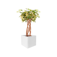 Elho pot de fleurs Pure soft brick carré blanc avec roulettes - Pot pour l'intérieur et l'extérieur