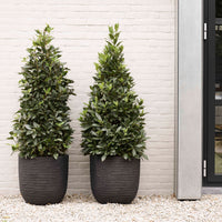 Capi pot de fleurs Nature row rond noir - Pot pour l'intérieur et l'extérieur