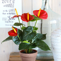Anthurium artificiel Rouge